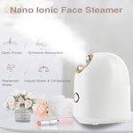 Facial Steamer